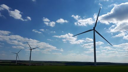 Des éoliennes en Côte-d'Or. Photo d'illustration. (OLIVIER ESTRAN / FRANCE-BLEU BOURGOGNE / RADIO FRANCE)