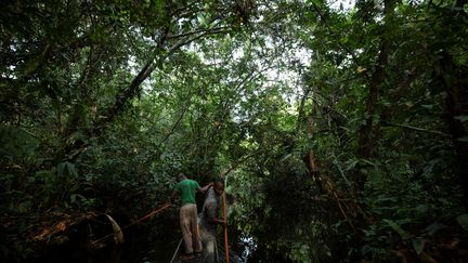 Dans la forêt de Mbandaka en République démocratique du Congo, le 2 avril 2019. (THOMAS NICOLON / REUTERS)