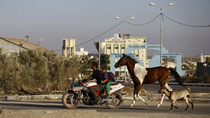 Ils tirent derrière eux leur cheval et leur chèvre.Ils fuient le quartier d’Al Shujaia, visé par un raid aérien. L’aviation israélienne a frappé des positions du Hamas après à un tir de roquette sur la ville de Sdérot, située à quatre kilomètres de l'enclave palestinienne. Les Gazaouis restent marqués par la guerre dévastatrice de l'été 2014 et redoutent une reprise des hostilités.   (AFP/ Mohammed Abed - Octobre 2016)