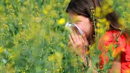 Le risque d'allergie au pollen est maximal en France en cette fin mai 2022 (illustration). (GAUJARD CHRISTELLE  / MAXPPP)