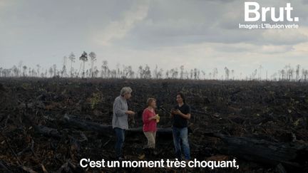 Dans son documentaire "L'illusion verte", le réalisateur allemand Werner Boote pointe le "greenwashing". Un procédé employé par certaines entreprises pour verdir leur image.