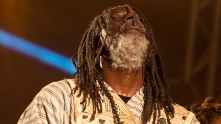 La star du raggae,&nbsp;Tiken Jah Fakoly, en transe sur la scène du festival Terre de Blues.&nbsp; (PHILIPPE TIROLIEN)