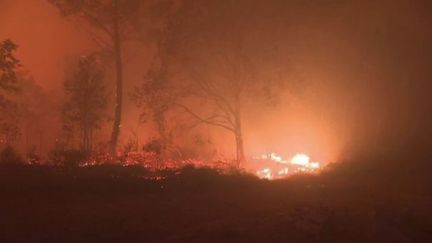 Depuis l'après-midi du lundi 12 septembre, un feu&nbsp;est en cours en Gironde près de la forêt de&nbsp;Saumos, au sud-est de&nbsp;Lacanau.&nbsp;Plus de 1 300 hectares de forêt ont déjà brûlé, dans la matinée du mardi 13 septembre, comme l'explique le journaliste David&nbsp;Basier, en direct de la ville du Temple, en Gironde. (FRANCE 2)