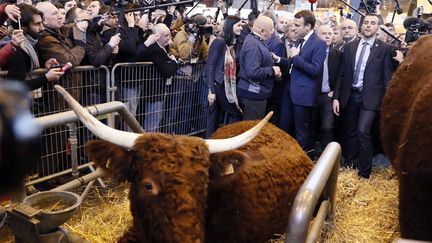 Emmanuel Macron, alors en campagne pour la présidentielle, discute avec éleveur au Salon de l'agriculture le 1er mars 2017. (THOMAS SAMSON / AFP)