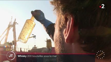 Alcool : 200 bouteilles de whisky plongées en mer