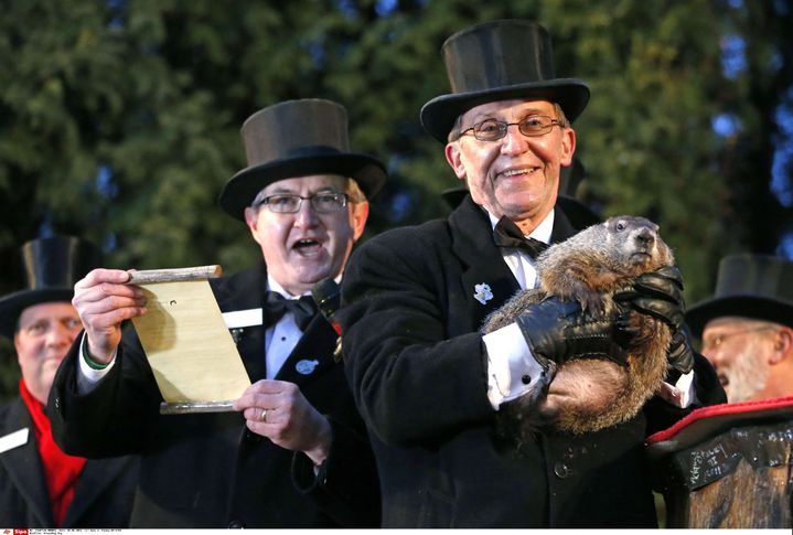 Phil la marmotte rend son verdict, à&nbsp;Punxsutawney (Pennsylvanie), le 2 février 2015.&nbsp; (GENE J. PUSKAR/AP / SIPA / AP)