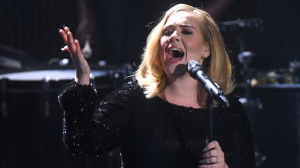 La chanteuse britannique Adele, chante en Allemagne, le 6 décembre 2015.&nbsp; (HENNING KAISER / DPA)