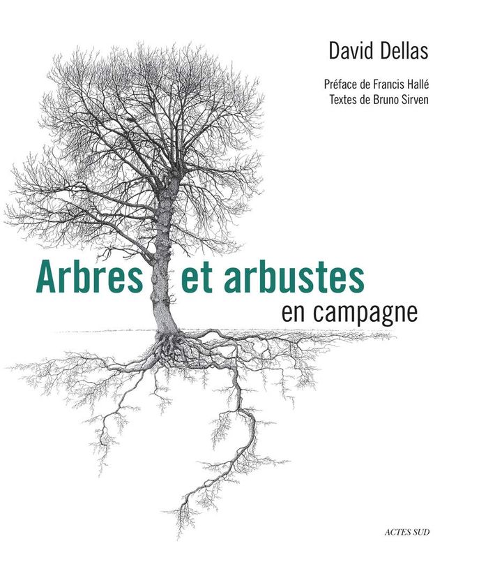 Couverture de "Arbres et arbustes en campagne", de David Dellas (dessins), préfacé par Francis Hallé (ACTES SUD)