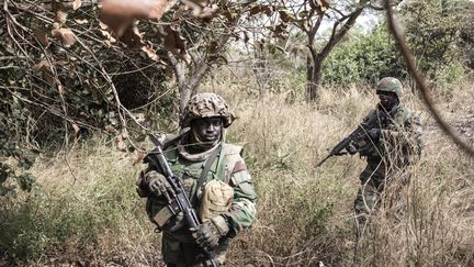 Des soldats sénégalais sécurisent les alentours d'un camp de rebelles démantelé en Casamance, dans la forêt de Blaze, le 9 février 2021. (JOHN WESSELS / AFP)