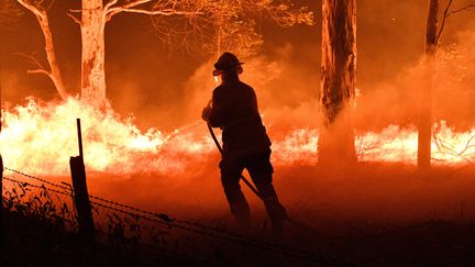 Un pompier lutte contre les flammes d'un feu de fôret à Nowra en Australie, le 31 décembre 2019. (SAEED KHAN / AFP)