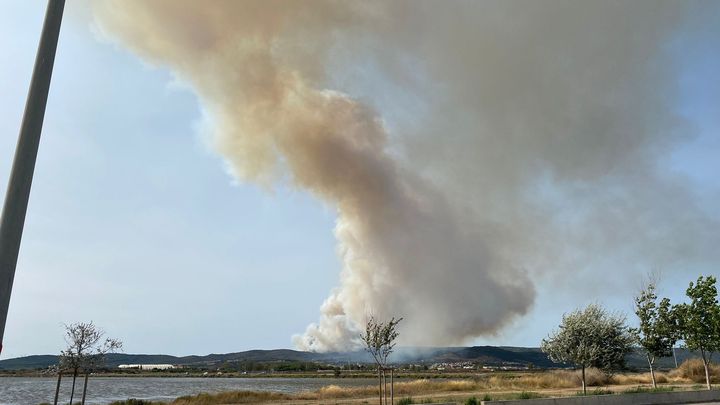 The fire broke out on Sunday 18 August in Gigean, 150 metres from the A9 motorway in Hérault. (PREFECT OF HERAULT / X)