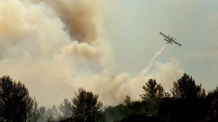 Incendies : les pompiers en difficulté face aux conditions météorologiques