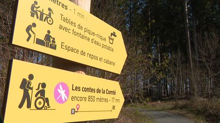 Le sentier de la forêt de la Comté dans le Puy-de-Dôme accessible aux personnes en situation de handicap. (CAPTURE D'ÉCRAN FRANCE 3)