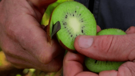 Alimentation : le kiwi, une cure de vitamines pour l'hiver