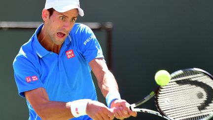 Novak Djokovic dévore la balle des yeux