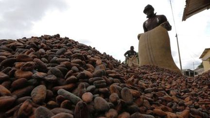 Des employés en train de faire sécher des fèves de cacao à Niable (Côte d'Ivoire, premier producteur mondial), à la frontière avec le Ghana le 19 juin 2014. (Reuters - Thierry Gouegnon)