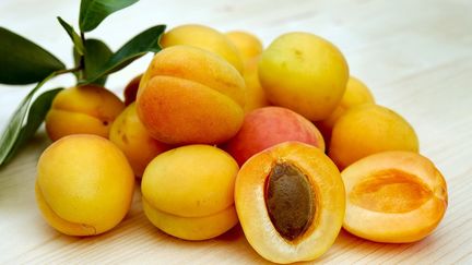 Amandes d’abricots : attention cyanure !