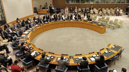 Le conseil de s&eacute;curit&eacute; de l'Organisation des nations unies (ONU) examine la demande d'adh&eacute;sion de la Palestine le 28 septembre 2011 &agrave; New York.&nbsp; (STAN HONDA / AFP)