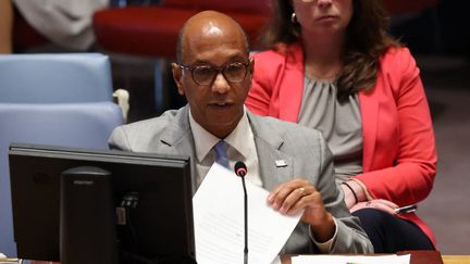 Robert Wood, le représentant suppléant des États-Unis à l'ONU, lors d'un Conseil de sécurité à New York, le 19 septembre 2024. (MICHAEL M. SANTIAGO / GETTY IMAGES NORTH AMERICA / AFP)