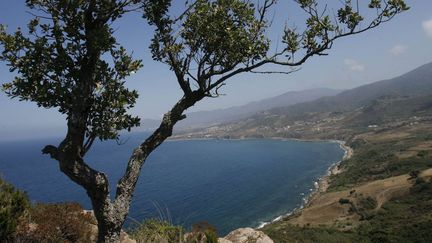 La chaîne montagneuse en Kabylie, bordée de plages sur la Méditerranée, où il peut être aussi dangereux de s'aventurer. En août 2008, huit touristes y ont été tués. (ZOHRA BENSEMRA / REUTERS)