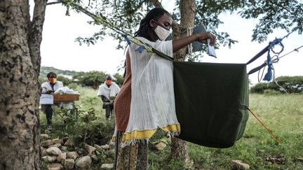 Une femme vote dans la ville de Tikul, à 15 km à l'est de Mekele, dans la région du Tigré, en Ethiopie, le 9 septembre 2020. (EDUARDO SOTERAS / AFP)