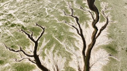 Vue aérienne de lac de&nbsp;Poyang, à&nbsp;Jiujiang, en Chine, le 21 août 2022. (STR / AFP)