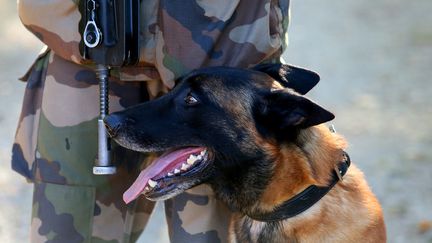 Un chien et son maître du 132e régiment d'infanterie cynophile, lors d'un entrainement à Suippes, le 4 octobre 2018. (FRANCOIS NASCIMBENI / AFP)