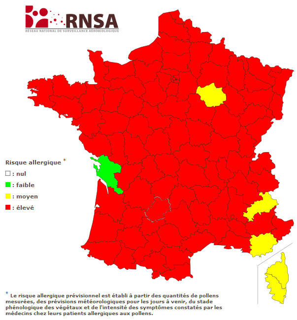 Carte de vigilance des pollens, du 21 au 28 juin 2013. (RNSA)