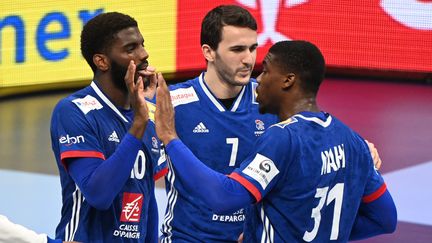 L'équipe de France de handball démarrera ses qualifications à l'Euro en octobre 2022. (ATTILA KISBENEDEK / AFP)