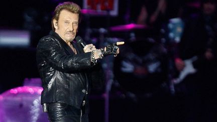 Johnny Hallyday en concert à Namur en juin 2013
 (BRUNO FAHY/AFP)