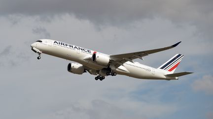 Un A350 d'Air France, le 27 septembre 2019 à Colomiers (Haute-Garonne). (PASCAL PAVANI / AFP)