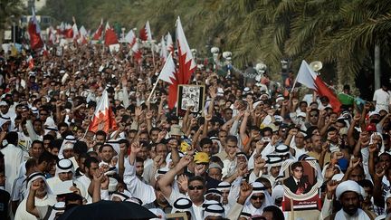 Le roi ratifie une série d'amendements constitutionnels. Mais l'opposition qualifie d'insuffisants les pouvoirs supplémentaires accordés au Parlement. Des milliers de manifestants redescendent dans la rue. En novembre 2012, 31 militants chiites dont deux anciens députés sont déchus de leur nationalité pour atteinte à la sûreté de l'Etat.
              
 
 
 (HO / AFP)