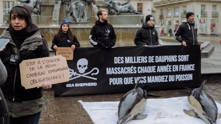 Manifestation à Nantes de l'ONG Sea Shepherd le 24 février 2023 (photo d'illustration). (MAYLIS ROLLAND / HANS LUCAS)