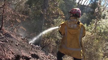 Alpes-Maritimes : un homme interpellé après l'incendie qui a ravagé 10 hectares (franceinfo)