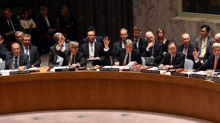 Vote de la résolution du conseil de sécurité de l'ONU sur la Syrie le 18 décembre 2015 (AFP/Thimoty A. Clary)