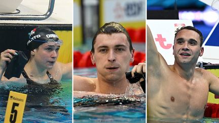 L'Italienne Benedetta Pilato, le Français Maxime Grousset et le Hongrois Kristof Milak font partie des têtes d'affiches de ces championnats d'Europe de natation, à Rome, entre le 11 et le 22 août 2022. (AFP)