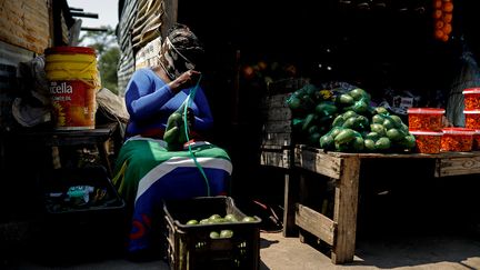 Sur les bords de route, des filets d'avocats sont posés sur des étals. Les fruits sont visiblement troués. A 1,70 euro le kilo, ils sont six fois moins chers qu'en supermarché. Ils viennent d'un "marché" voisin, assure un vendeur. "Ces vendeurs inondent le marché informel" et affectent les prix et la demande, explique M. Swart. Mais dans un circuit aux nombreux intermédiaires, difficile de remonter les filières.&nbsp; &nbsp; (GUILLEM SARTORIO / AFP)