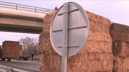 En Haute-Garonne et en Ariège, des agriculteurs ont bloqué l'autoroute avec de la paille, jeudi 18 janvier. Entre autres sujets, ils dénoncent des réglementations excessives et des contraintes intenables quant à leur accès à l'eau.