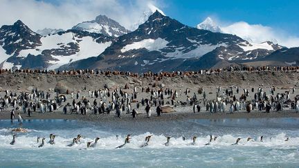 «Au-delà de l'horizon, loin des falaises écorchées du cap Horn, un éclat de cordillère andine émerge des profondeurs abyssales de l'océan. Les sommets enneigés de Géorgie du Sud submergent les flots d'une ombre funeste. Les vagues géantes et les vents monstrueux mugissent sur ce chemin de la côte.» (Thierry Suzan)