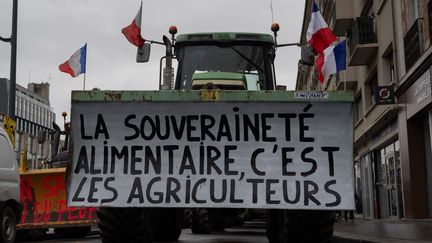 Une manifestation d'agriculteurs qui expriment leur colère face face à la politique agricole européenne, à Rennes, le 25 janvier 2024. (ESTELLE RUIZ / HANS LUCAS / AFP)