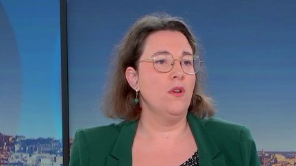 Cyrielle Chatelain, présidente du groupe écologiste et social, députée écologiste de l'Isère (franceinfo)