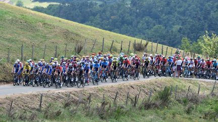 Le peloton du Tour de France dans le mur d'Aurec (étape&nbsp;Saint-Etienne &nbsp;Brioude)&nbsp;le 14 juillet 2019. Illustration. (PHILIPPE VACHER / MAXPPP)