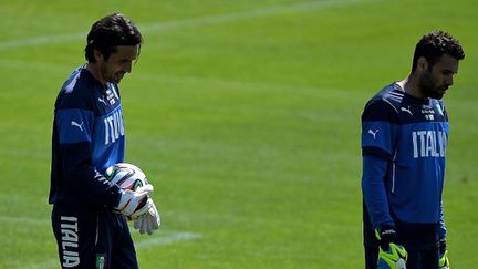 Salvatore Sirigu devrait suppléer Gianluigi Buffon dans les buts de l'Italie (FILIPPO MONTEFORTE / AFP)