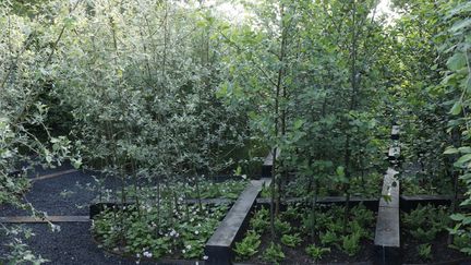 Le projet "Dans les bois" du collectif américai composé de Phoebe Lickwar, Matthew Donham, Hannah Moll et Andersen Woof a reçu le "prix de la création" à Chaumont-sur-Loire
 (photo Eric Sander)