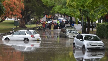 Australie : vents violents et orages destructeurs ravagent la banlieue sud de Sydney