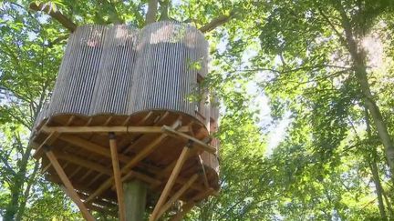 Si les bords de mer restent les lieux privilégiés des vacances des Français, certains préfèrent le confort perché dans les arbres, à plusieurs mètres de hauteur. La proximité avec la nature est très recherchée cet été, comme à Raray dans l’Oise. (France 2)