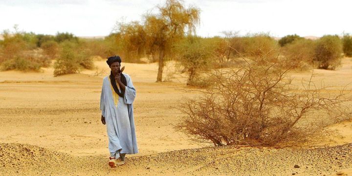 Terres arides de Forgho à l'entrée du sahara dans le nord du Mali. Chaque année, deux millions d'hectares de zones boisées sont perdus dans les pays du Sahel. (Photo AFP)