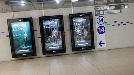 Des affiches contre le harcèlement sexuel dans les transports publics, à Paris, le 5 mars 2018. (MAXPPP)