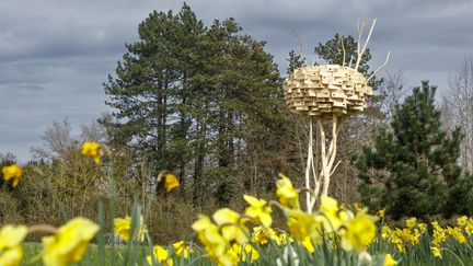 Les martinets, oiseaux en voie de disparition, pourront dire merci à l'artiste belge Bob Verschueren. Trois branches dressées vers le ciel, 250 boites qui font nichoirs, le tout forme dans le parc une élégante sculpture. Les oiseaux ont toujours aimé se poser sur les cimes de statues. Les martinets de passage trouveront refuge à Chaumont. (ERIC SANDER)