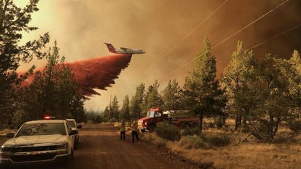 Une image des incendies dans l'Oregon (Etats-Unis); le 11 juillet 2021. (HANDOUT / OREGON DEPARTMENT OF FORESTRY)